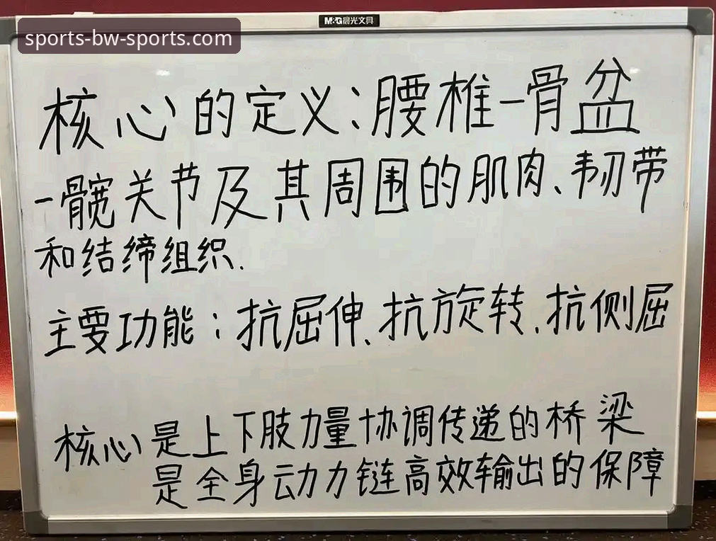 宝威体育互动体验完整指南：从新手到老手的实用心得分享